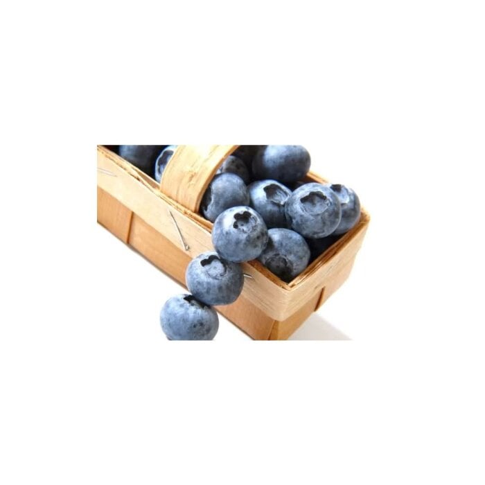 eLiquid Blueberry no Nicotine 10 ml