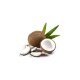 eLiquid Coconut no Nicotine 10ml